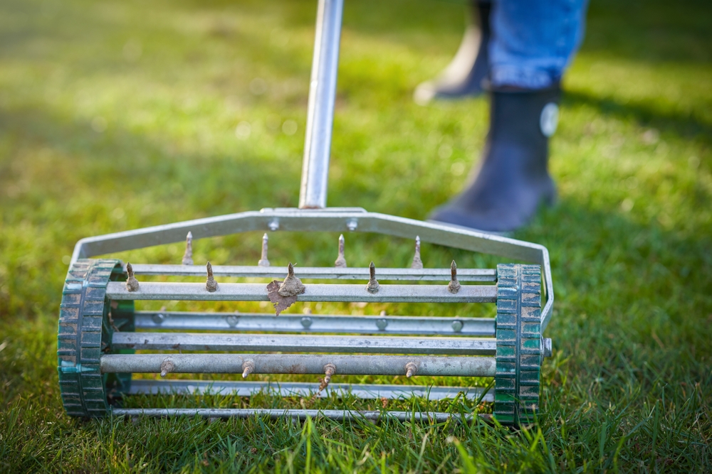 Tips for aerating, fertilizing, and overseeding your lawn ©Kamil Macniak