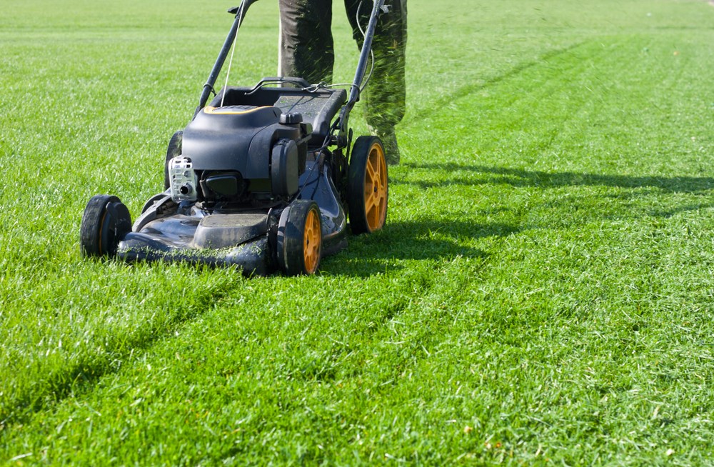 Mow and weed your lawn to keep it healthy and improve your home's curb appeal ©Tretyakov Viktor